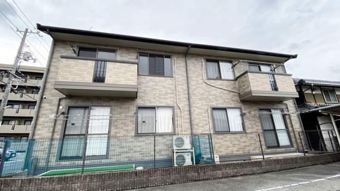 ウィルモア辰巳