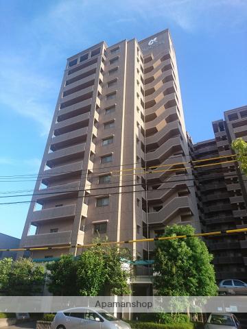 アルファステイツ清心(2SLDK/9階)