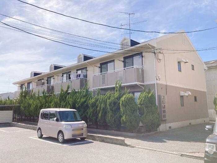 グランドール脊板A