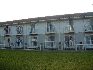 マメゾン津島福居