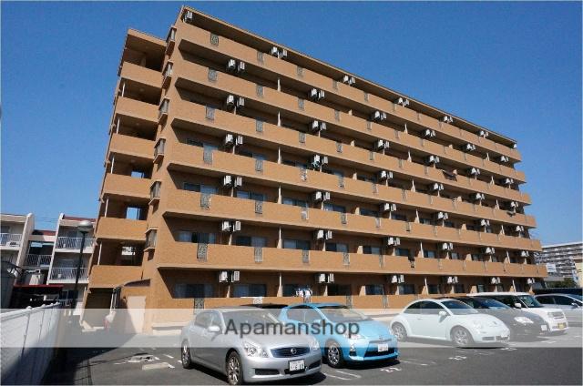 ニューレント中祥