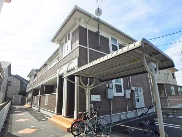 プリムラ ジュリアン