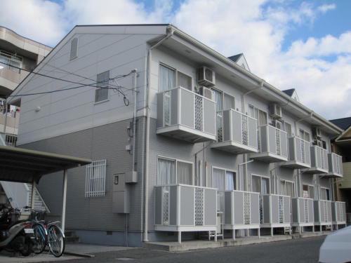 サンフラワー青江