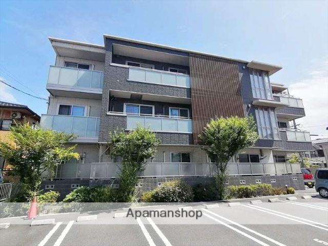 ノーヴァグレイス