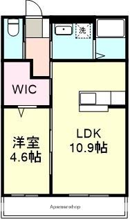 ウィスタリア(1LDK/1階)の間取り写真