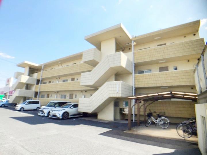 ドメスティックカーサ