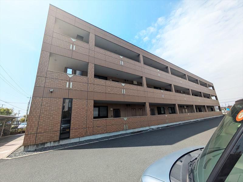 サンライズ亀甲