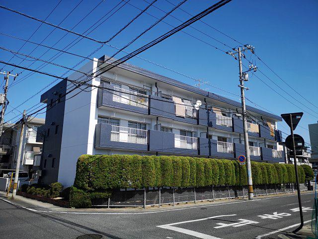ORYZA西古松