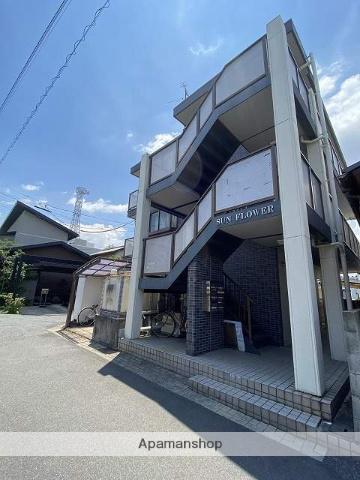 サンフラワー