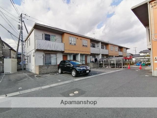 プレインパインC