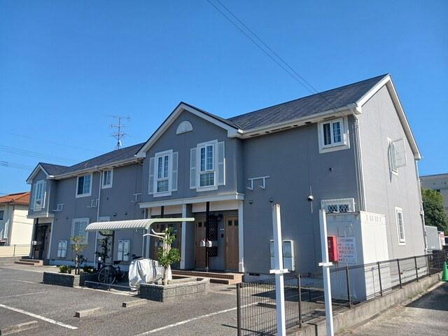 サンフラワーハセイ