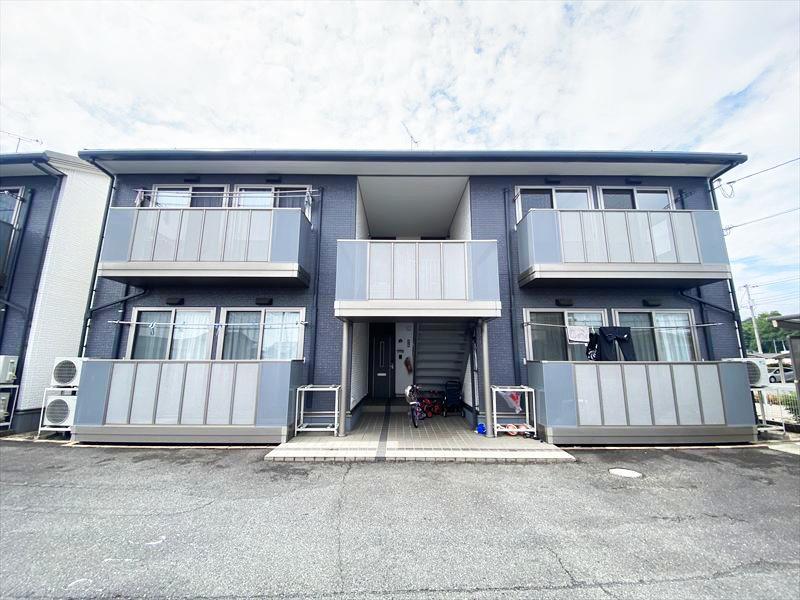 エバーグリーンオーク