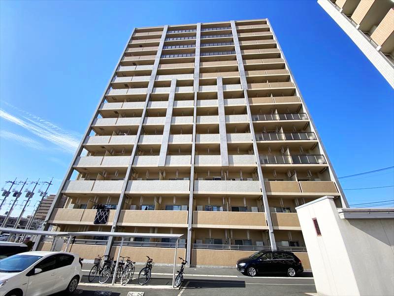 ケイマイティⅡ