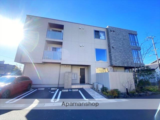 マグノリア カリーノ