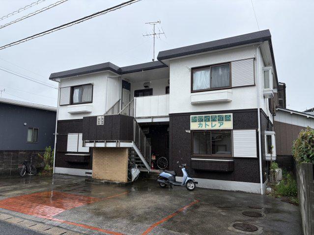 シティハイムカトレア