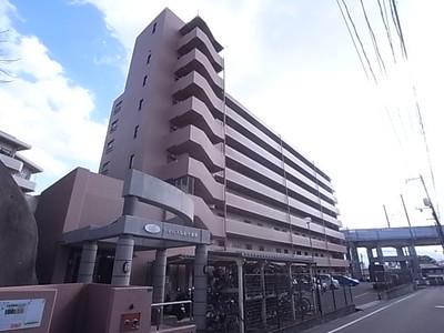 アイムス福山壱番館(3LDK/1階)