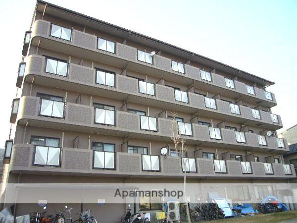 プラムグロウブ