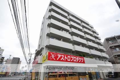 でしおドルフ