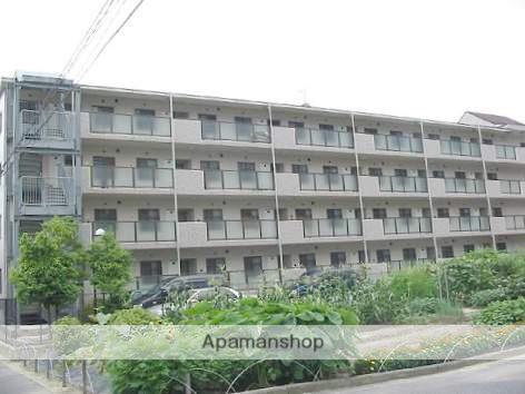 カーサナカスジ