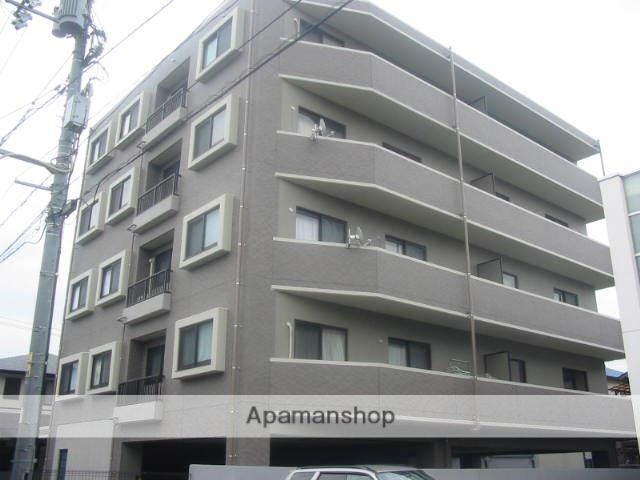 ラフィーネカツタ