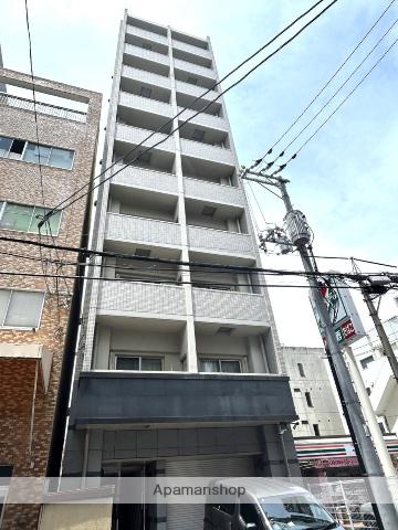 プレシャス・コーホー