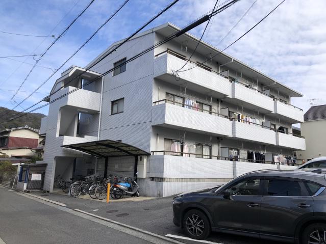 メゾンマツモト