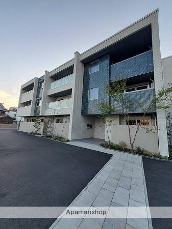 セレーナエルフォ