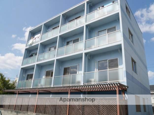 E.プリムローズ