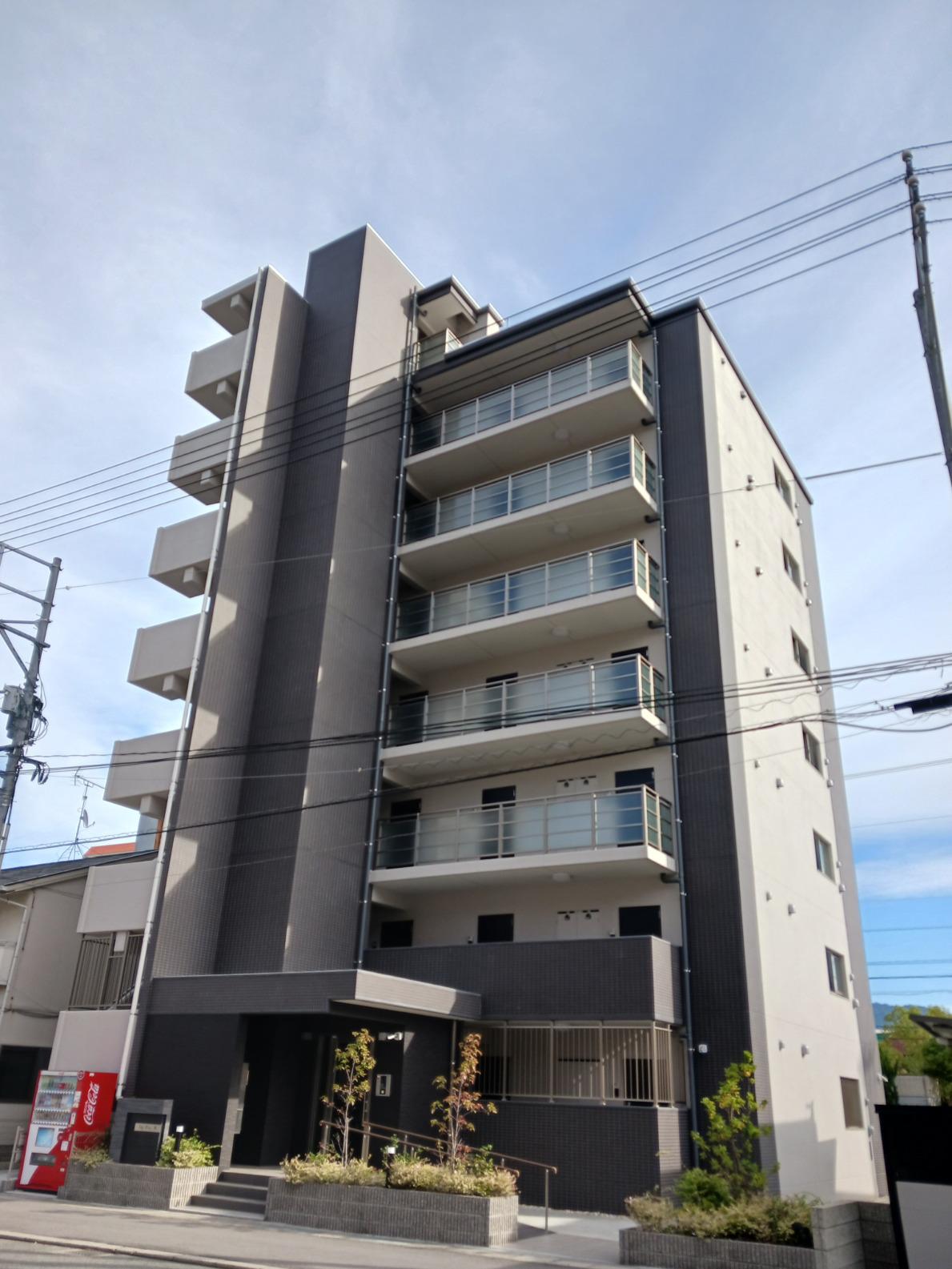 スカイブルー・ヨシ