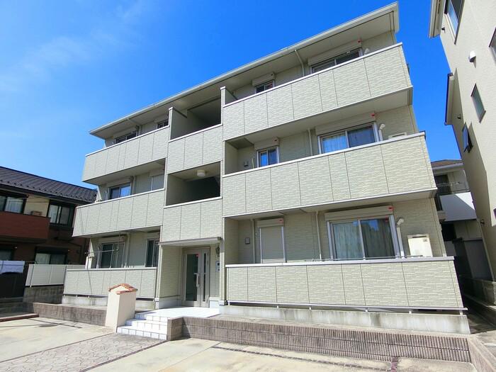 クラシックリボン