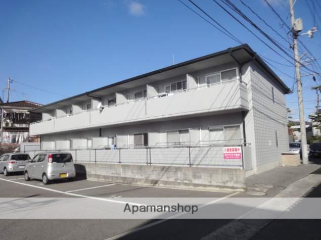 ハイム波多野