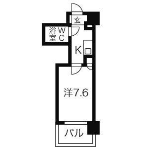 ダイアパレス国泰寺弐番館(1K/3階)の間取り写真