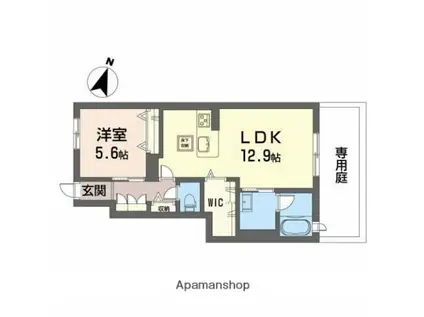 シャインコート(1LDK/1階)の間取り写真