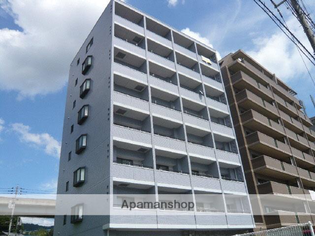 木もれ陽
