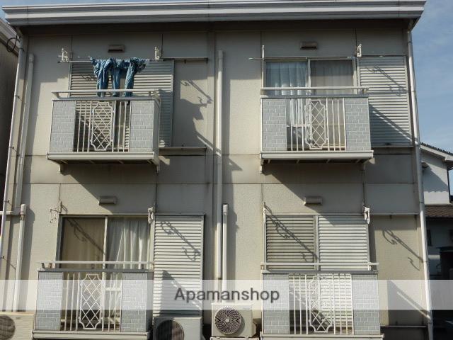 サンライズホワイトA