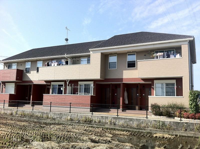 チェリー ブラッサムズ