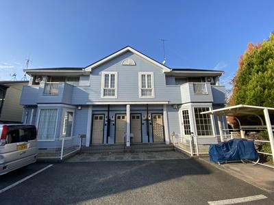 ゴールドクレスト藤井