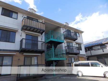 エターナルミムラ