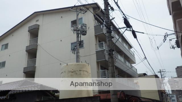 パラツィーナ光南