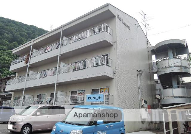 ライルーセント