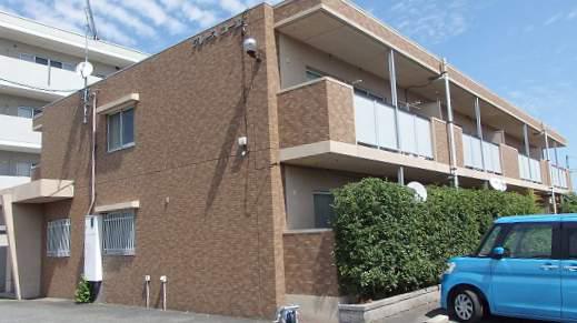 グレースコーエイ