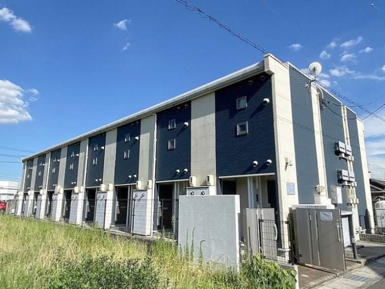 レオネクストパンプキン