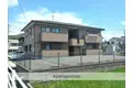 サンフラワー