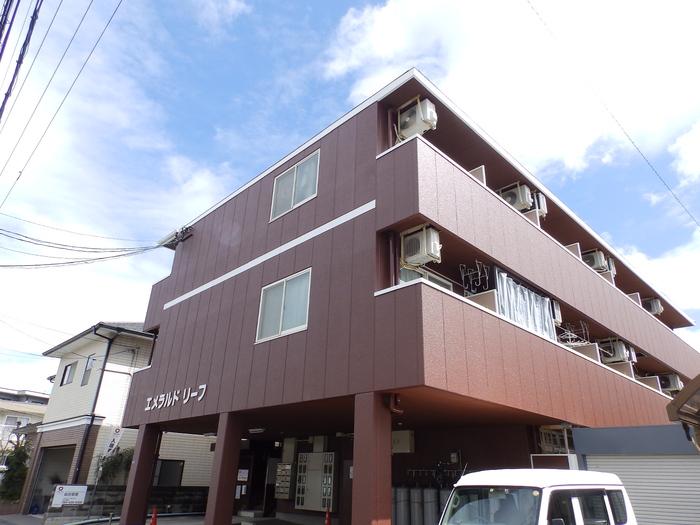 エメラルドリーフ