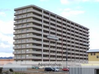 ジェイ・シュロア神辺