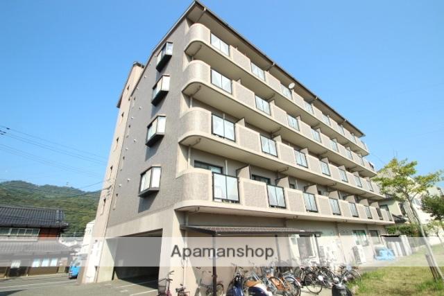 プラムグロウブ