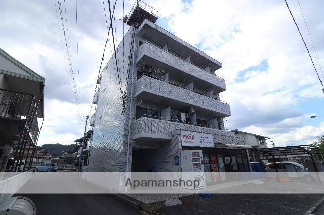 サンシャイン向洋