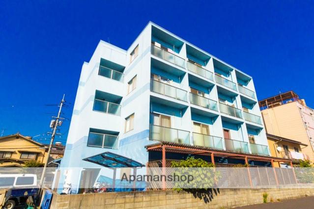 E.プリムローズ