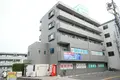 セレブ洋