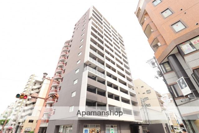 ラフィーネ本川(1K/3階)